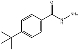 对叔丁基苯甲酰肼 结构式