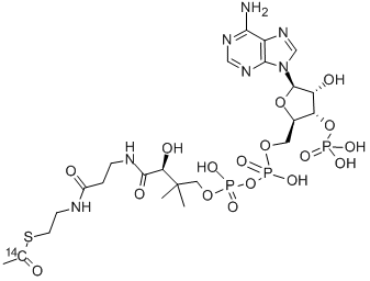 ACETYL COENZYME A, [ACETYL-1-14C] 结构式