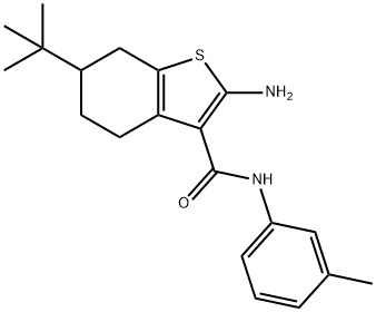 2-AMINO-6-TERT-BUTYL-N-(3-METHYLPHENYL)-4,5,6,7-TETRAHYDRO-1-BENZOTHIOPHENE-3-CARBOXAMIDE 结构式