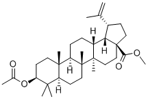 Methyl-3b-acetoxybetulinate 结构式
