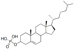 cholesteryl phosphate 结构式