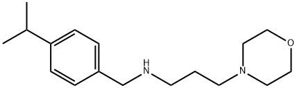N-(4-异丙基苄基)-3-吗啉丙烷-1-胺 结构式