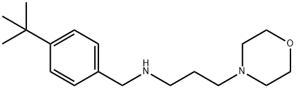 N-(4-(叔丁基)苄基)-3-吗啉代丙-1-胺 结构式