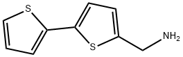 C-[2,2'-二硫代苯-5-基甲基]胺 结构式