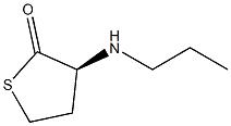 2(3H)-Thiophenone, dihydro-3-(propylamino)-, (3S)- (9CI) 结构式