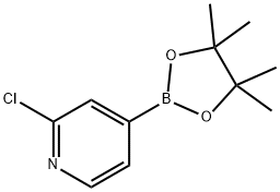 2-Chloropyridine-4-boronic acid pinacol ester