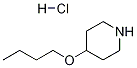 4-BUTOXYPIPERIDINE HYDROCHLORIDE 结构式