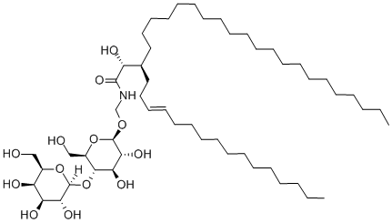 乳糖苷 结构式
