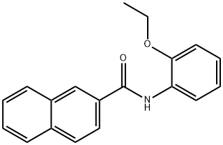 N-(2-乙氧基苯基)萘-2-甲酰胺 结构式