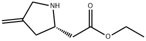 2-Piperidinecarboxylicacid,4-methylene-,ethylester,(2S)-(9CI) 结构式