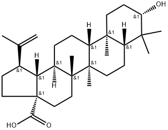 白桦脂酸 结构式