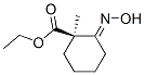 Cyclohexanecarboxylic acid, 2-(hydroxyimino)-1-methyl-, ethyl ester, (1R,2E)- 结构式