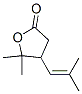 4,5-Dihydro-5,5-dimethyl-4-(2-methyl-1-propenyl)furan-2(3H)-one 结构式