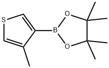 4-甲基噻吩-3-硼酸频哪酯 结构式