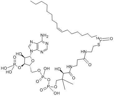 OLEOYL COENZYME A, [OLEOYL-1-14C]- 结构式