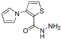 2-Thiophenecarboxylicacid,3-(1H-pyrrol-1-yl)-,hydrazide(9CI) 结构式