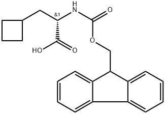 FMOC-L-环丁基丙氨酸 结构式
