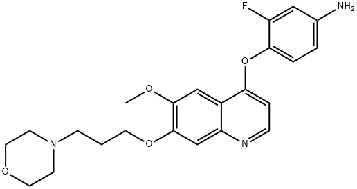 3-FLUORO-4-[6-METHOXY-7-(3-MORPHOLIN-4-YL-PROPOXY)-QUINOLIN-4-YLOXY]PHENYLAMINE 结构式