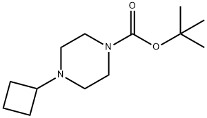 TERT-BUTYL 4-CYCLOBUTYLPIPERAZINE-1-CARBOXYLATE 结构式