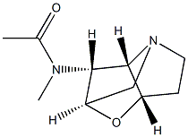 N-ACETYLLOLINE 结构式