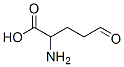 2-amino-5-oxo-pentanoic acid 结构式