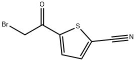 5-(2-溴乙基)-噻吩-2-甲腈