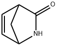 2-氮杂双环[2.2.1]庚-5-烯-3-酮 结构式