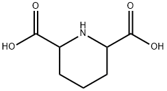 哌啶-2,6-二甲酸 结构式