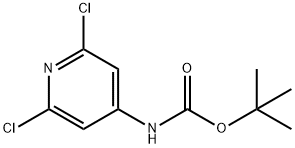 N-BOC-4-氨基-2,6-二氯吡啶	 结构式