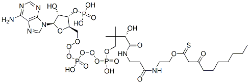 3-氧代癸酰辅酶A 结构式