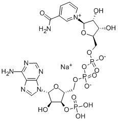 BETA-烟酰胺腺嘌呤双核苷酸 结构式
