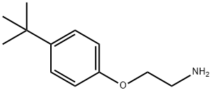 2-(4-(tert-Butyl)phenoxy)ethanamine