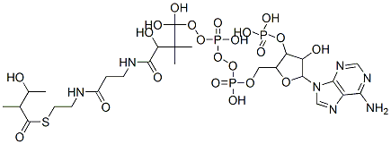 [5-(6-aminopurin-9-yl)-4-hydroxy-2-[[hydroxy-[hydroxy-[3-hydroxy-3-[2-[2-(3-hydroxy-2-methyl-butanoyl)sulfanylethylcarbamoyl]ethylcarbamoyl]-2,2-dimethyl-propoxy]-phosphoryl]oxy-phosphoryl]oxymethyl]oxolan-3-yl]oxyphosphonic acid 结构式