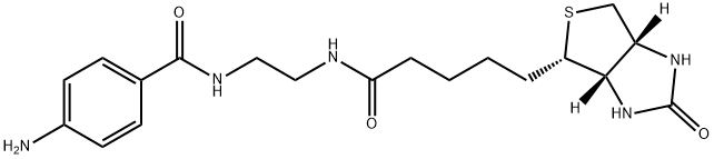 1H-Thieno[3,4-d]iMidazole-4-pentanaMide, N-[2-[(4-aMinobenzoyl)aMino]ethyl]hexahydro-2-oxo-, (3aS,4S,6aR)- 结构式