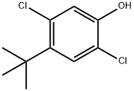 2,5-DICHLORO-4-TERT-BUTYLPHENOL 结构式