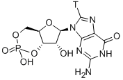 GUANOSINE 3',5'-CYCLIC PHOSPHATE, [GUANOSINE 8-3H] 结构式