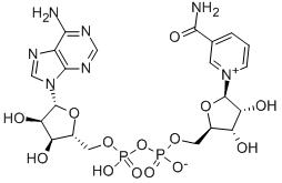 β-烟酰胺腺嘌呤二核苷酸 结构式