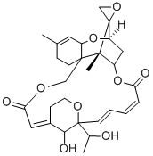 satratoxin H