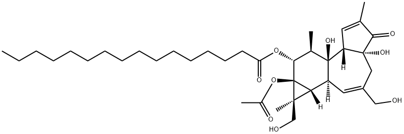 16-羟基佛波醇12-十六烷酸酯13-酸酯盐
