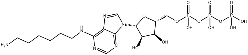 N(6)-aminohexyladenosine triphosphate 结构式