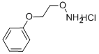 1-[2-(AMMONIOOXY)ETHOXY]BENZENE CHLORIDE 结构式