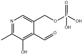 磷酸吡哆醛 结构式