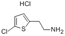 2-(5-氯-噻吩-2-基)-乙胺盐酸盐 结构式