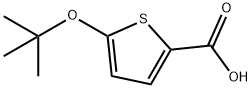 5-tert-Butoxythiophene-2-carboxylic acid 结构式