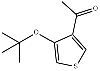 Methyl(4-tert-butoxy-3-thienyl) ketone 结构式