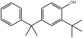 2-(1,1-dimethylethyl)-4-(1-methyl-1-phenylethyl)phenol 结构式