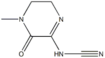 Cyanamide, (3,4,5,6-tetrahydro-4-methyl-3-oxopyrazinyl)- (9CI) 结构式