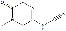 Cyanamide, (3,4,5,6-tetrahydro-4-methyl-5-oxopyrazinyl)- (9CI) 结构式