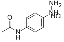 4-ACETAMIDOPHENYLHYDRAZINE HYDROCHLORIDE 结构式