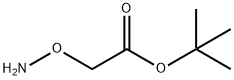 TERT-BUTYL 2-(AMINOOXY)ACETATE 结构式